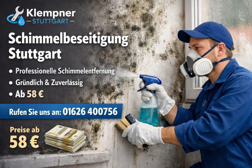 Klempner Stuttgart Techniker bei professioneller Schimmelbeseitigung in Stuttgart ab 58€