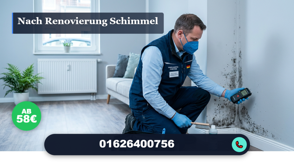 nach renovierung schimmel