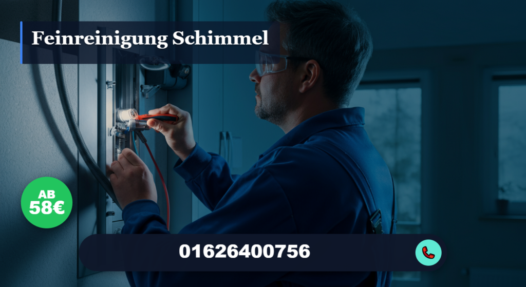 Feinreinigung Schimmel