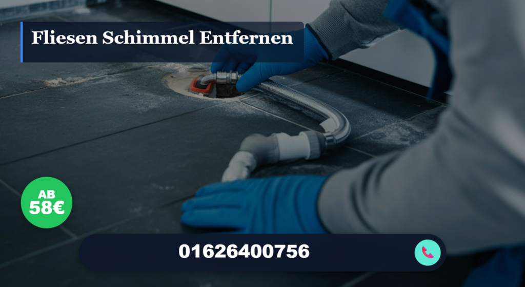 fliesen schimmel entfernen