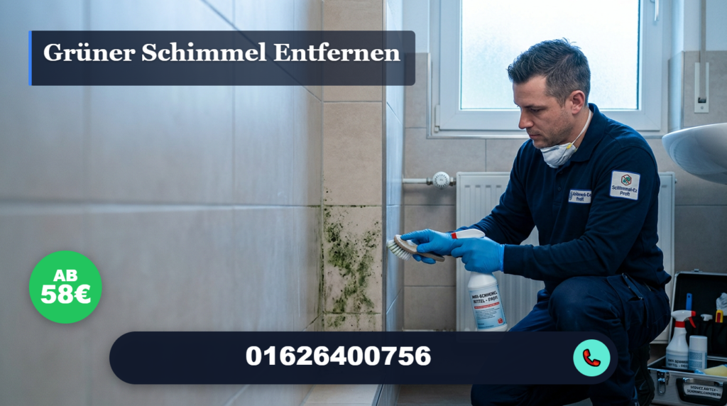 grüner schimmel entfernen