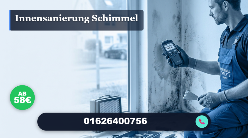innensanierung schimmel