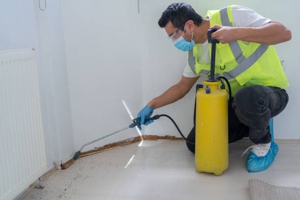 Nach dem Wasserschaden sorgt der Techniker für eine sichere und gründliche Trocknung.