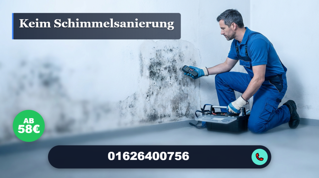 keim schimmelsanierung