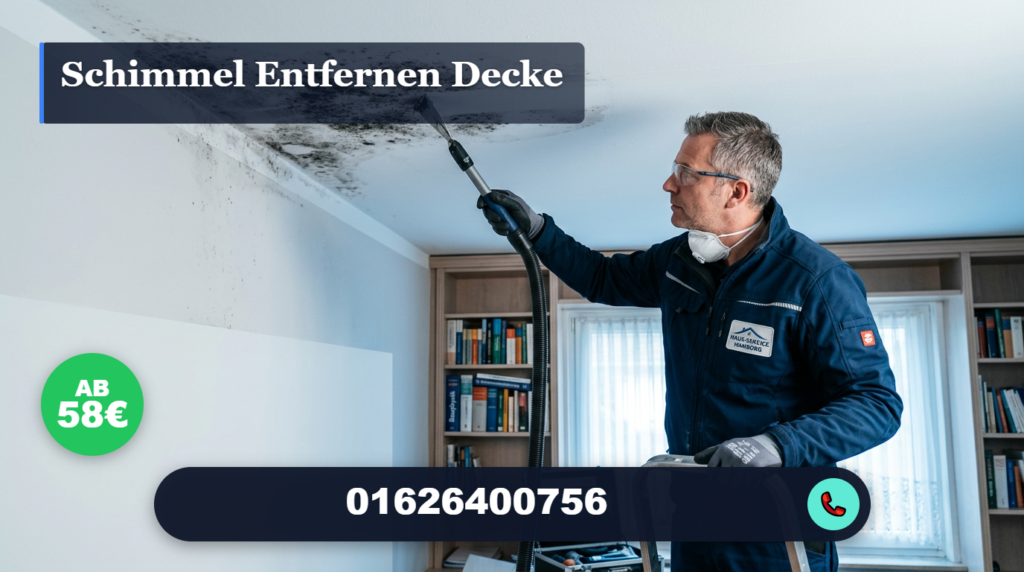 schimmel entfernen decke