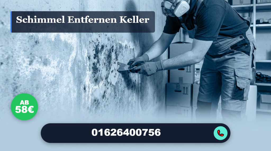 schimmel entfernen keller