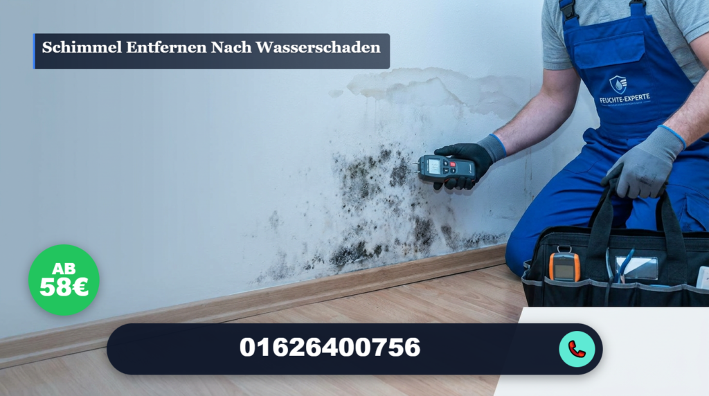 schimmel entfernen nach wasserschaden
