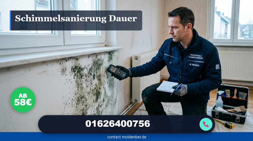 schimmelsanierung dauer