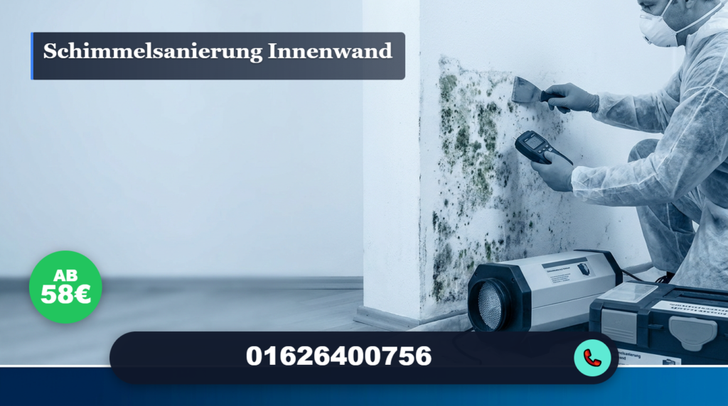 Schimmelsanierung Innenwand