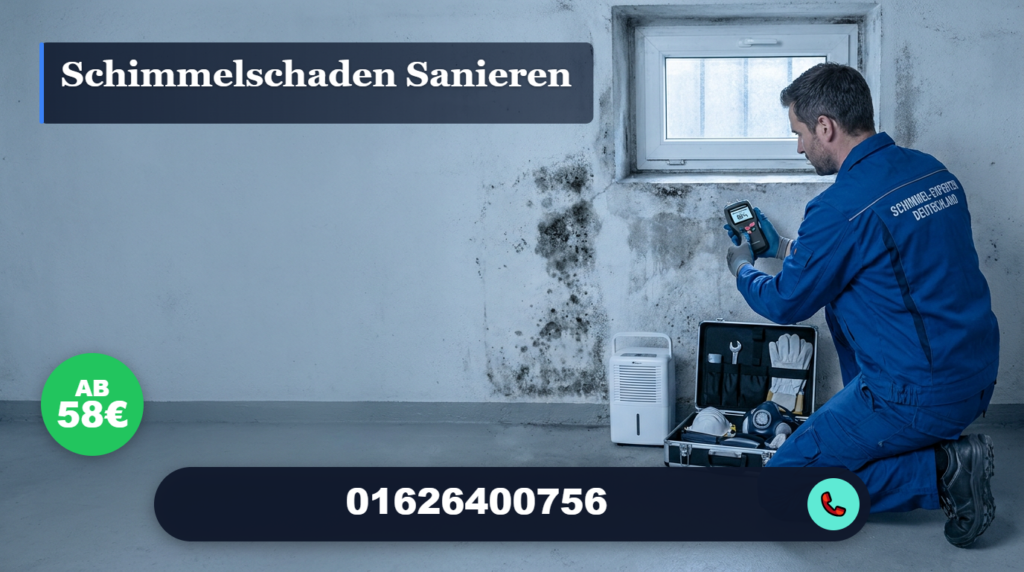 schimmelschaden sanieren